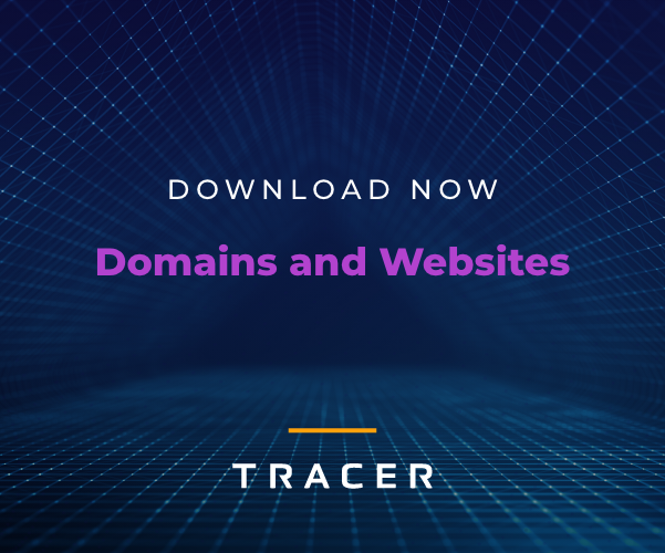 Download Now: Domain and Websites